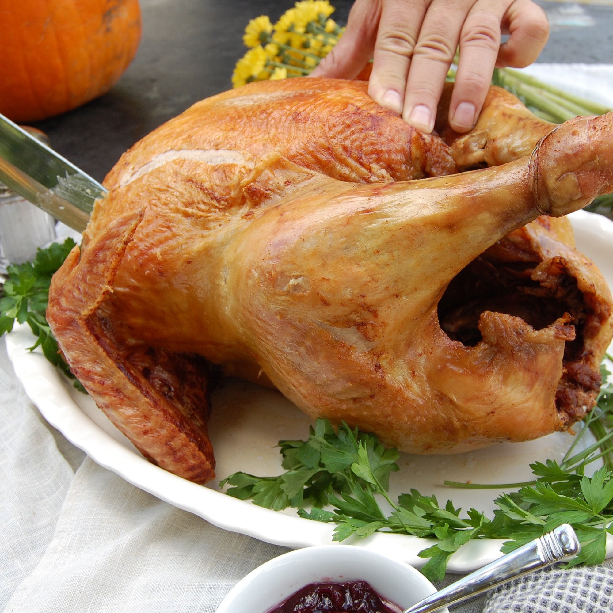 44-qt Stainless Grand Gobbler
