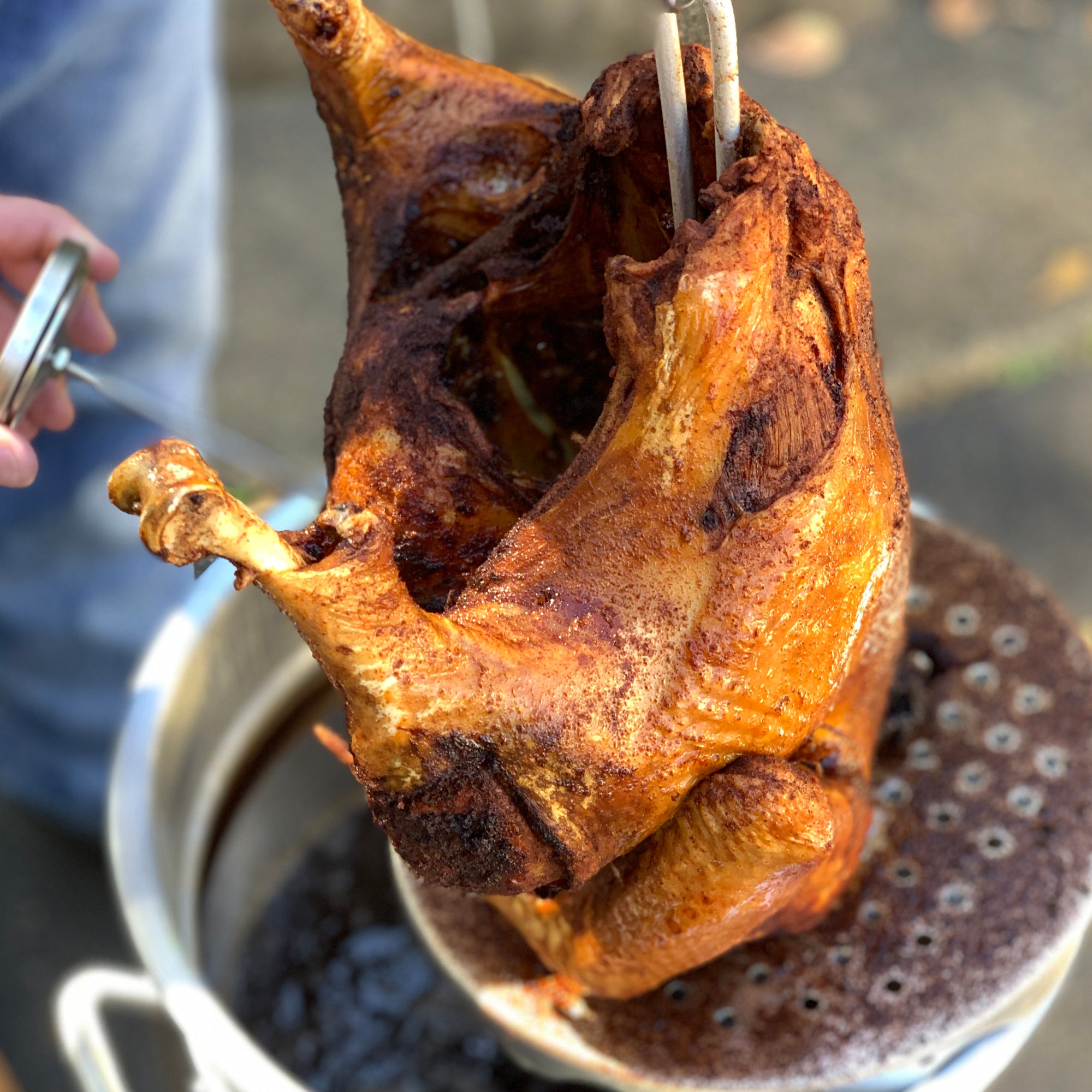 44-qt Stainless Grand Gobbler