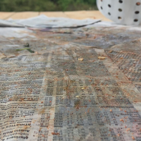 Video pouring shrimp on newspaper from a basket