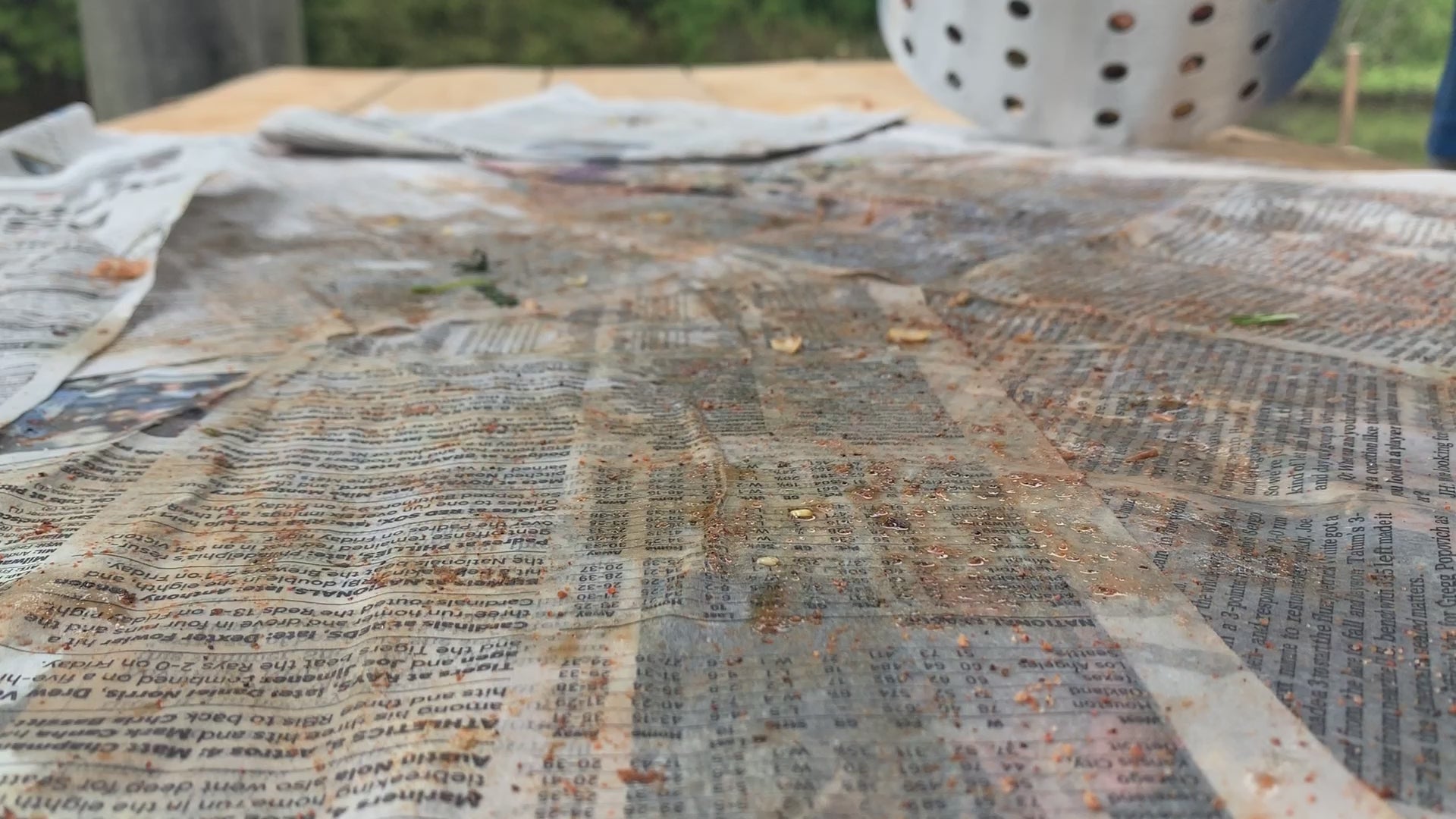 Video pouring shrimp on newspaper from a basket