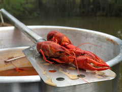 Stainless Stir Paddle